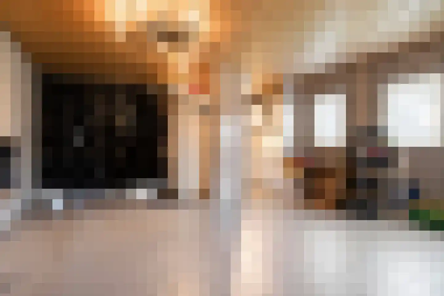 Pastoriestraat 40 Vlierden thumbnail 21