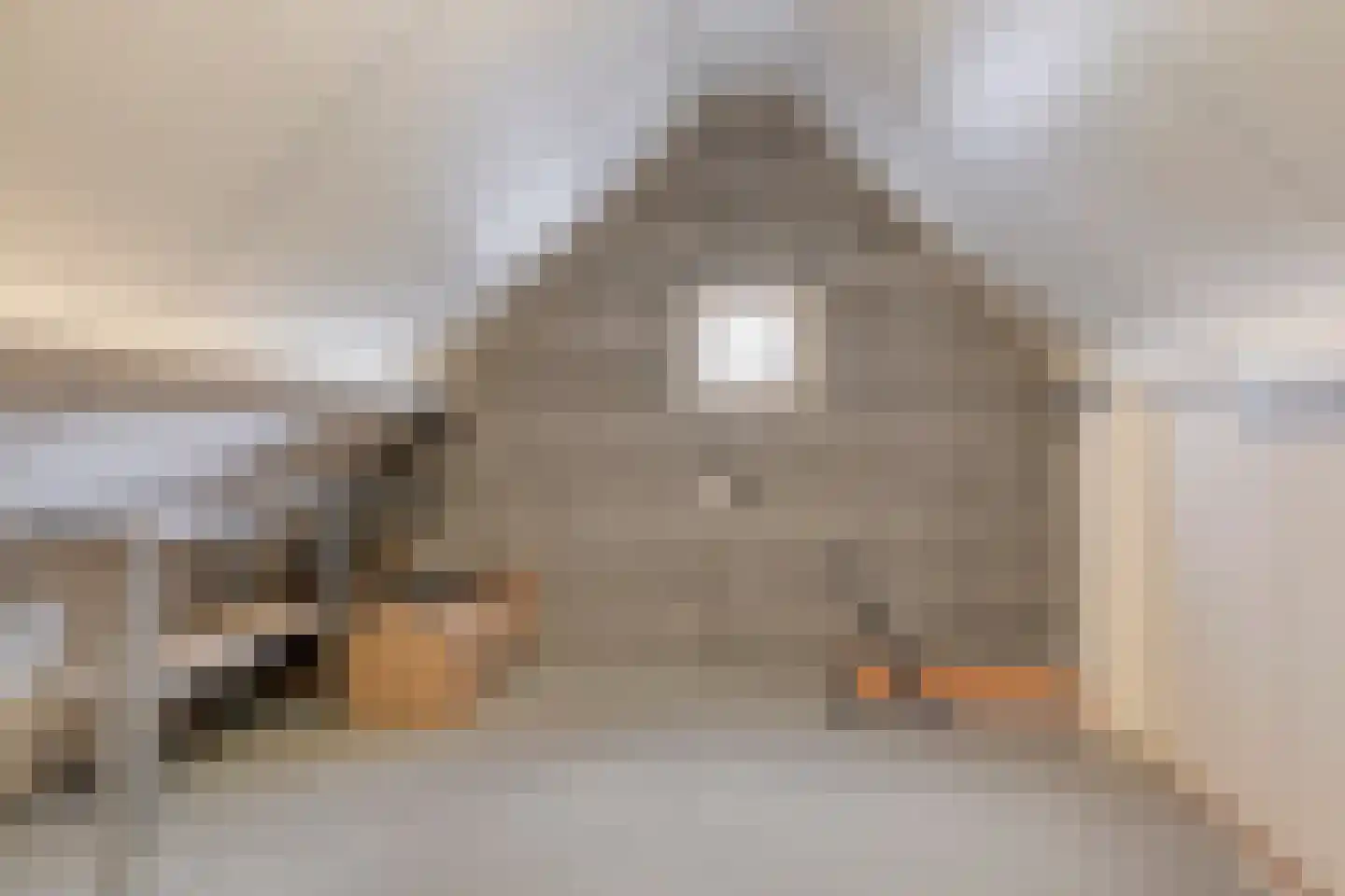 Pastoriestraat 40 Vlierden thumbnail 23