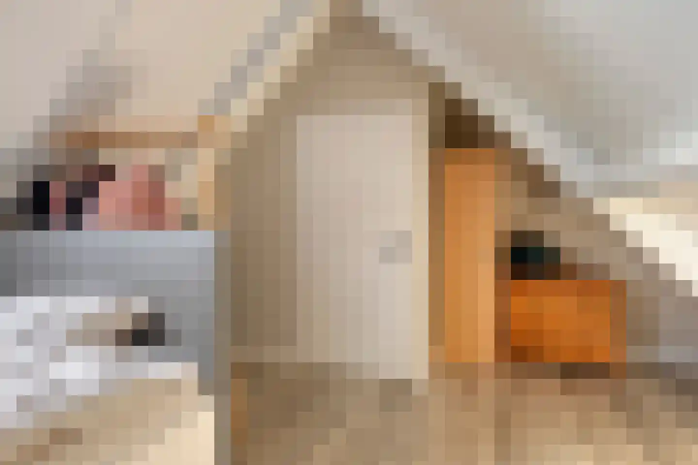 Pastoriestraat 40 Vlierden thumbnail 39