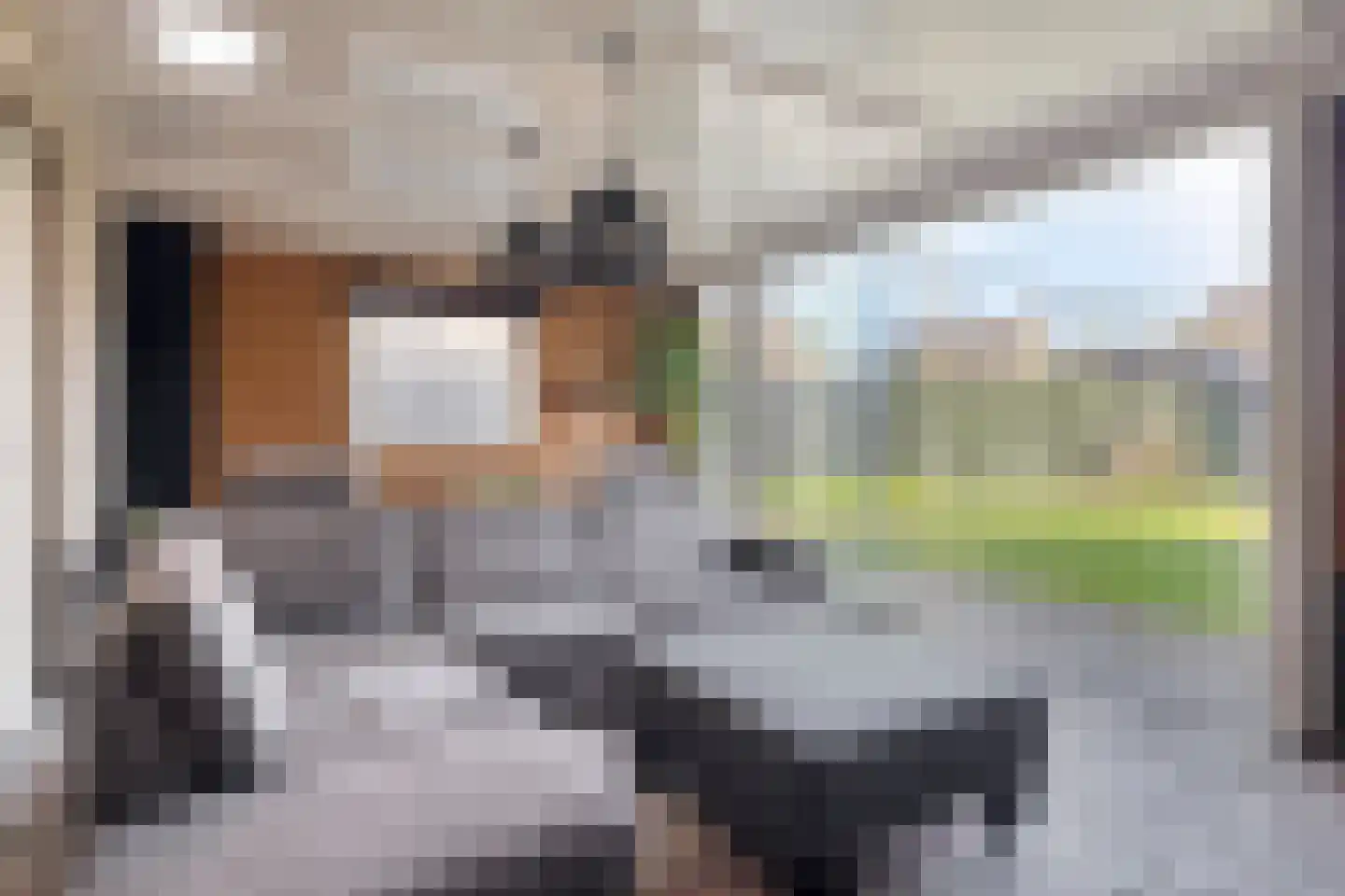 Pastoriestraat 40 Vlierden thumbnail 4