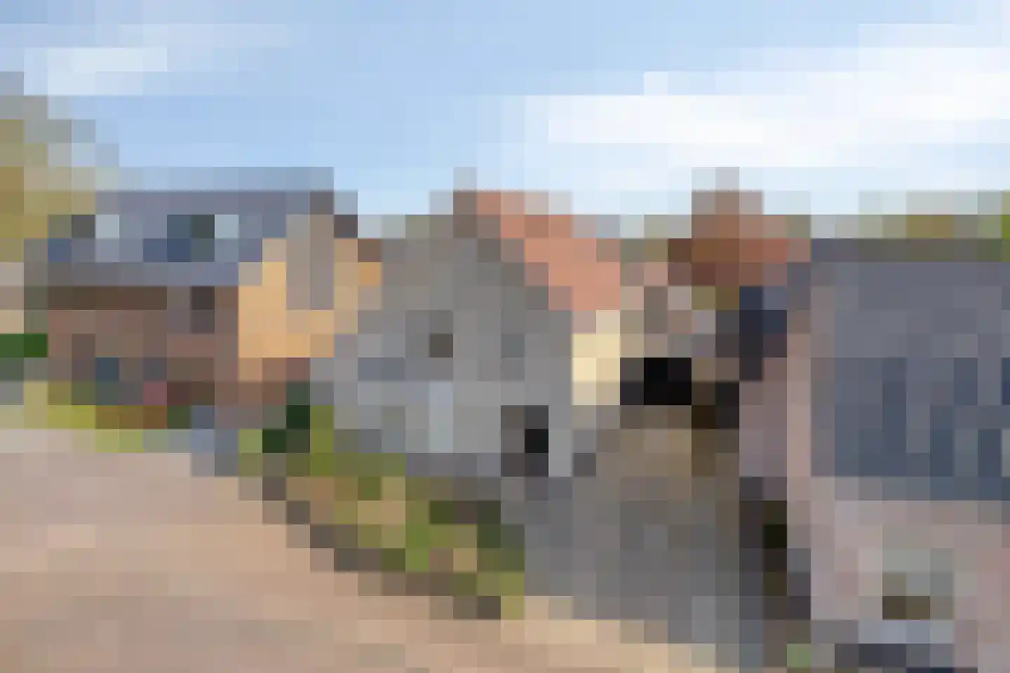 Pastoriestraat 40 Vlierden thumbnail 41