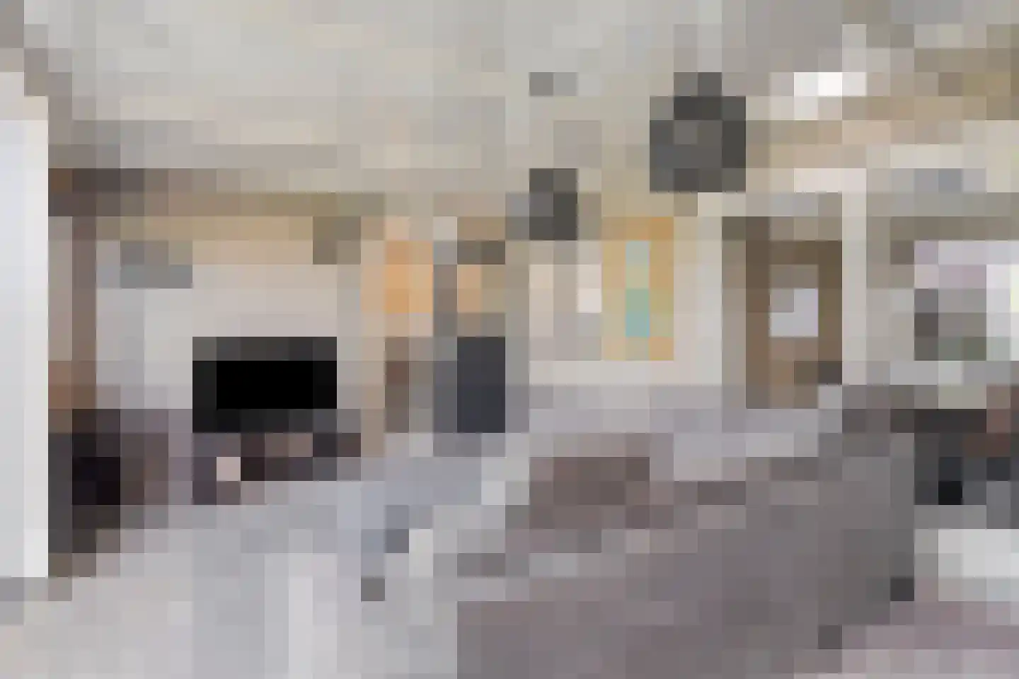 Pastoriestraat 40 Vlierden thumbnail 43