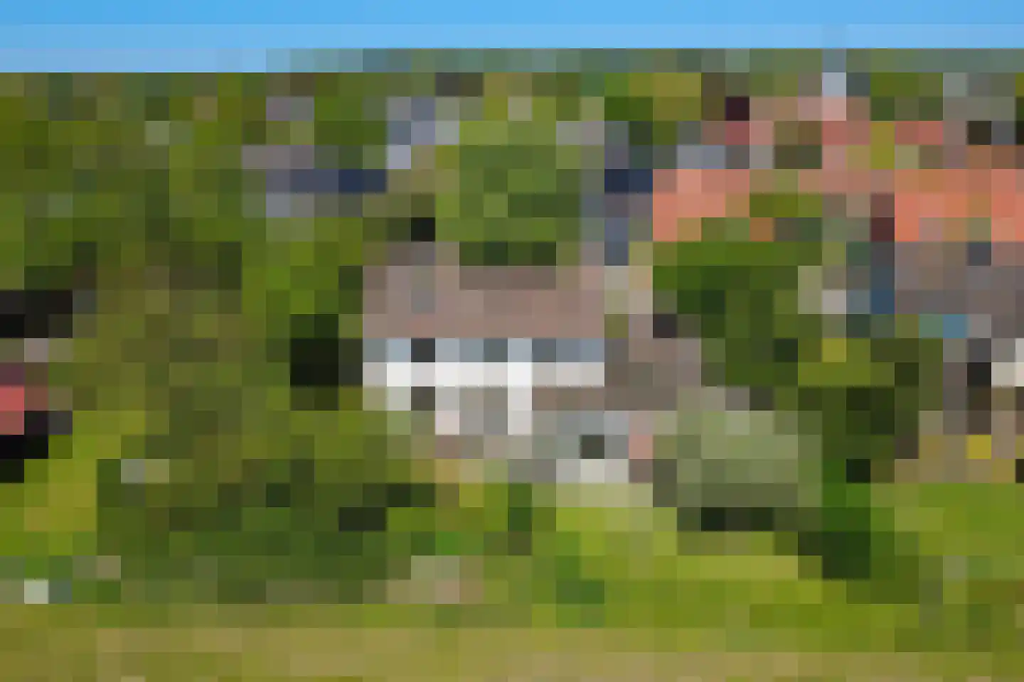 Pastoriestraat 44 Holten thumbnail 45