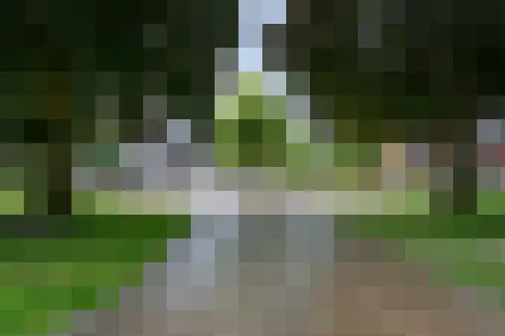 Pastoriestraat 8 Baak thumbnail 24