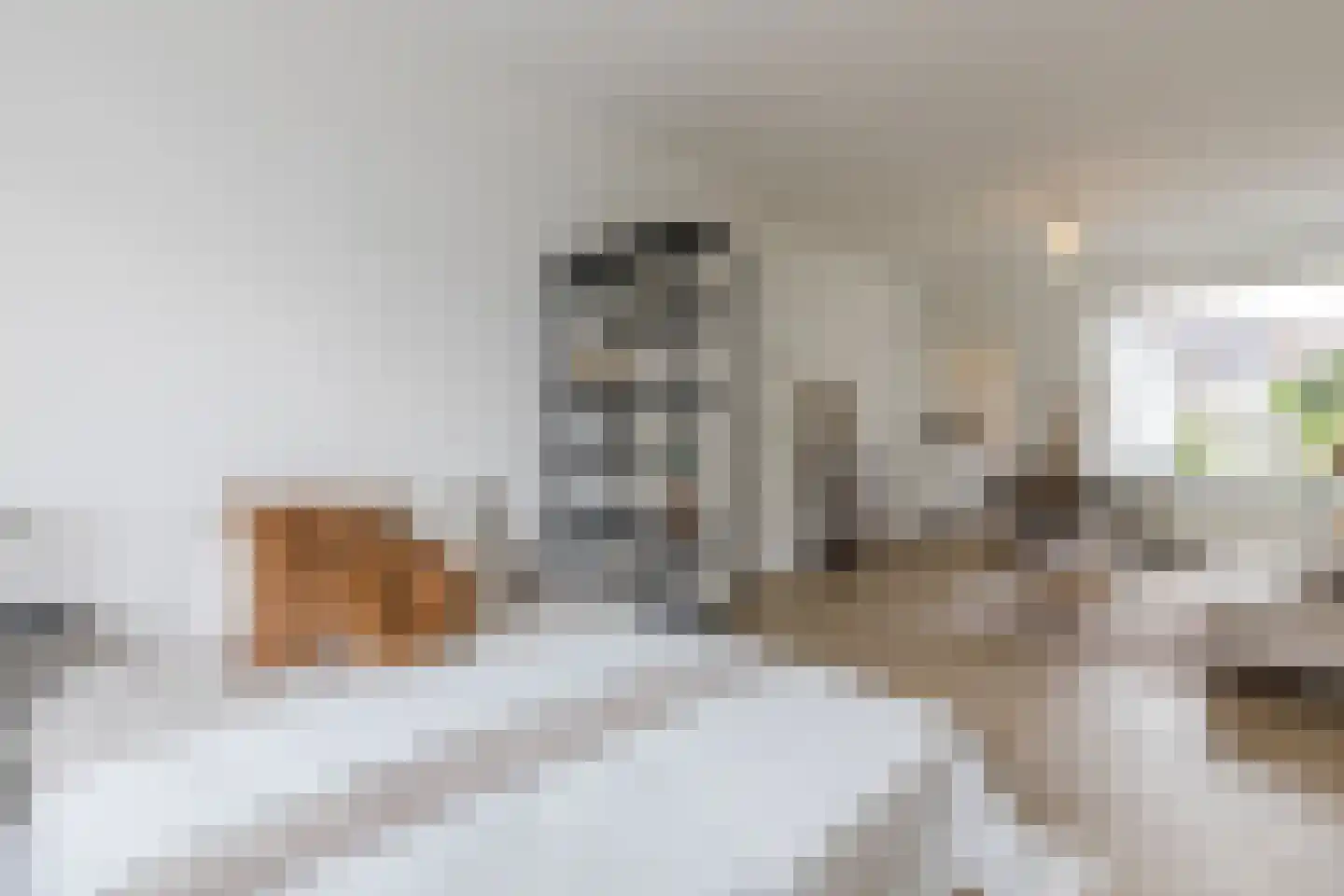 Pastoriestraat 84 Eindhoven thumbnail 11