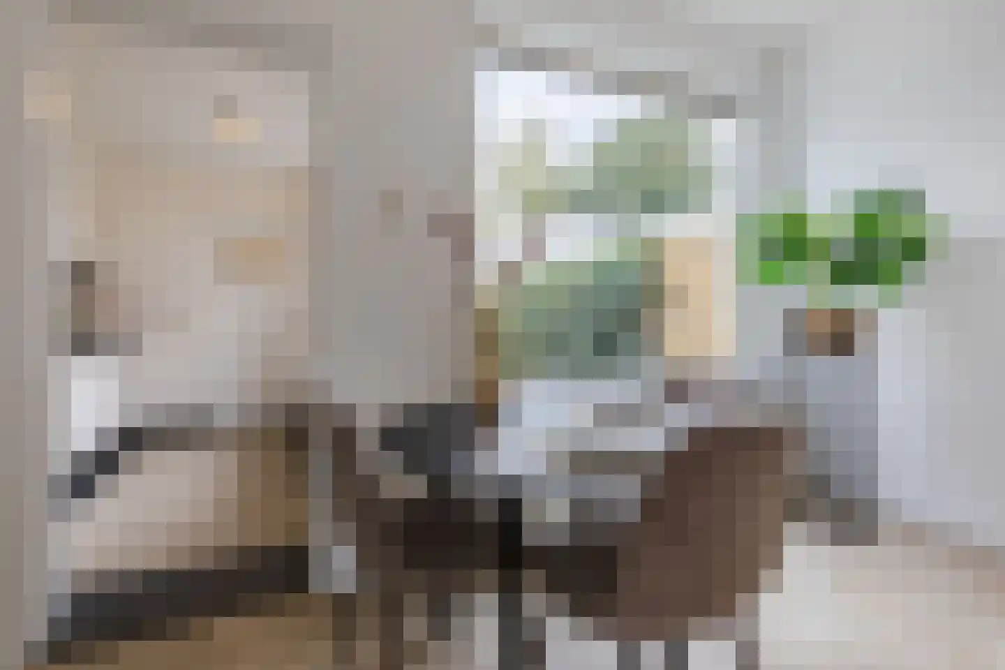 Pastoriestraat 84 Eindhoven thumbnail 12