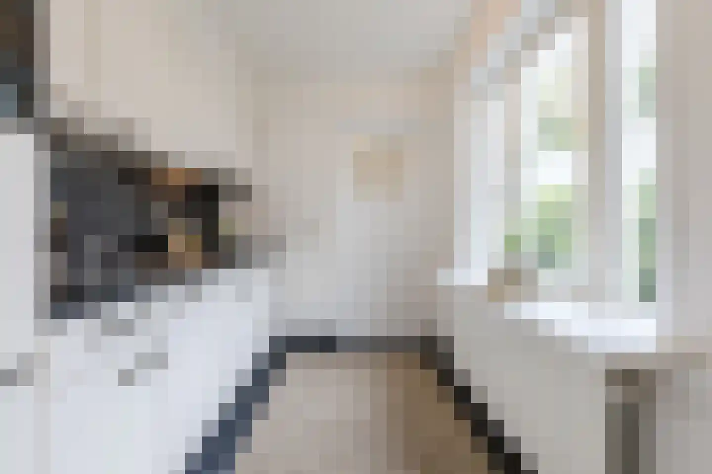 Pastoriestraat 84 Eindhoven thumbnail 13