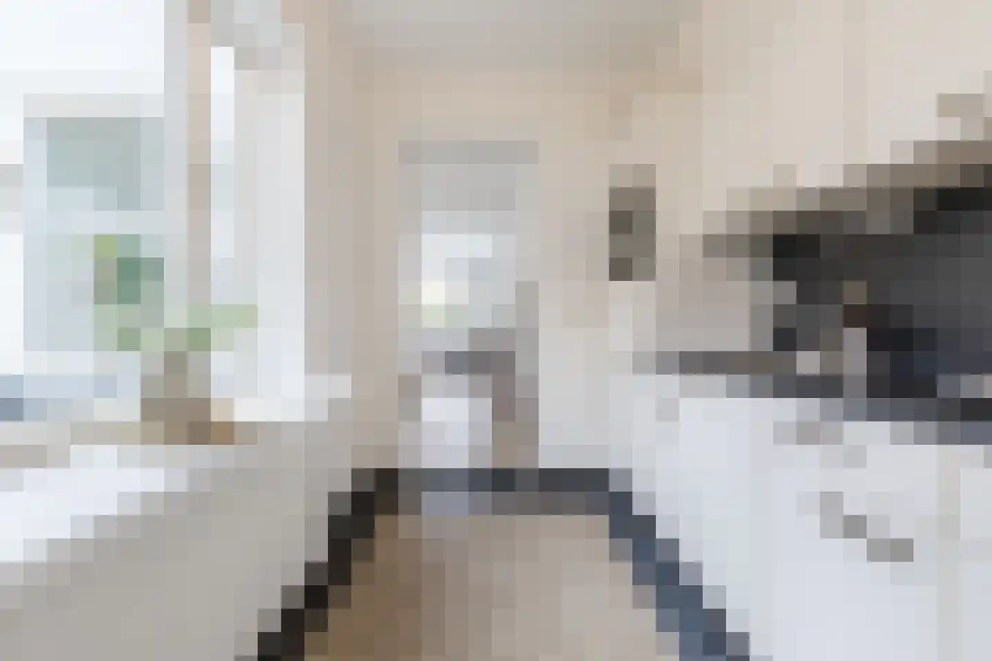 Pastoriestraat 84 Eindhoven thumbnail 16