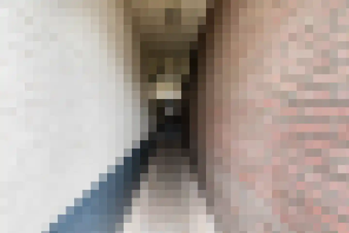 Pastoriestraat 84 Eindhoven thumbnail 30