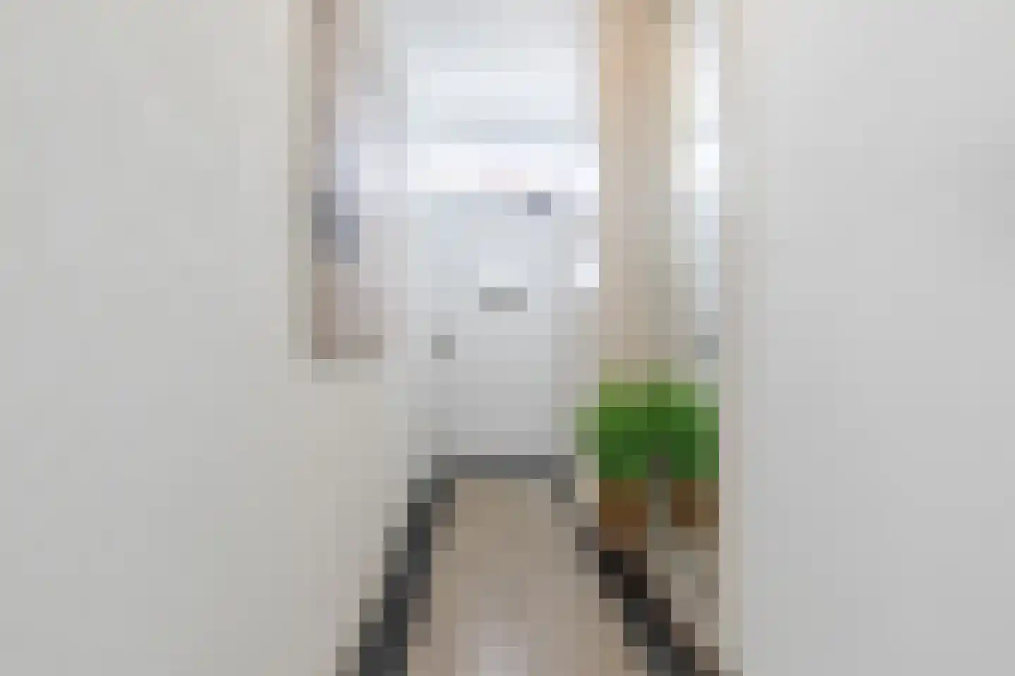 Pastoriestraat 84 Eindhoven thumbnail 4