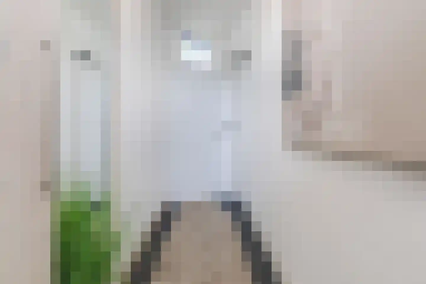 Pastoriestraat 84 Eindhoven thumbnail 5