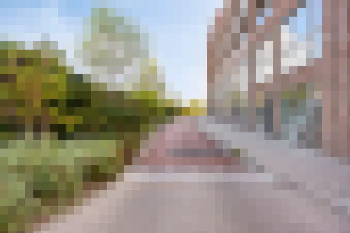 Pastoriestraat 93 Eindhoven thumbnail 26
