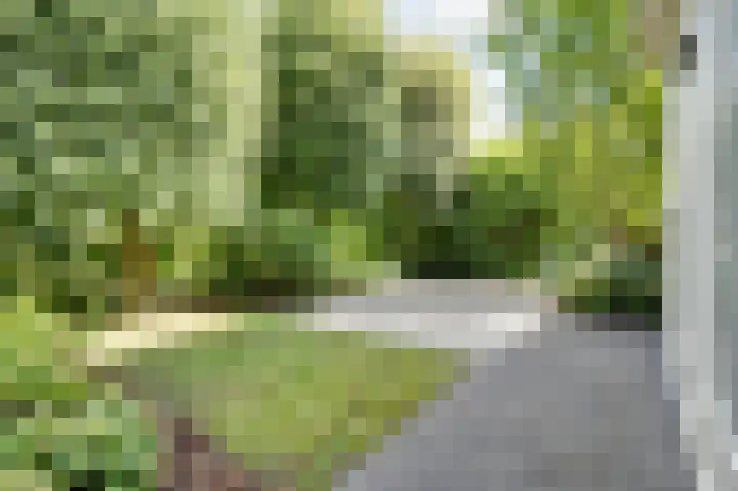 Pastorietuin 10 Ooltgensplaat thumbnail 28