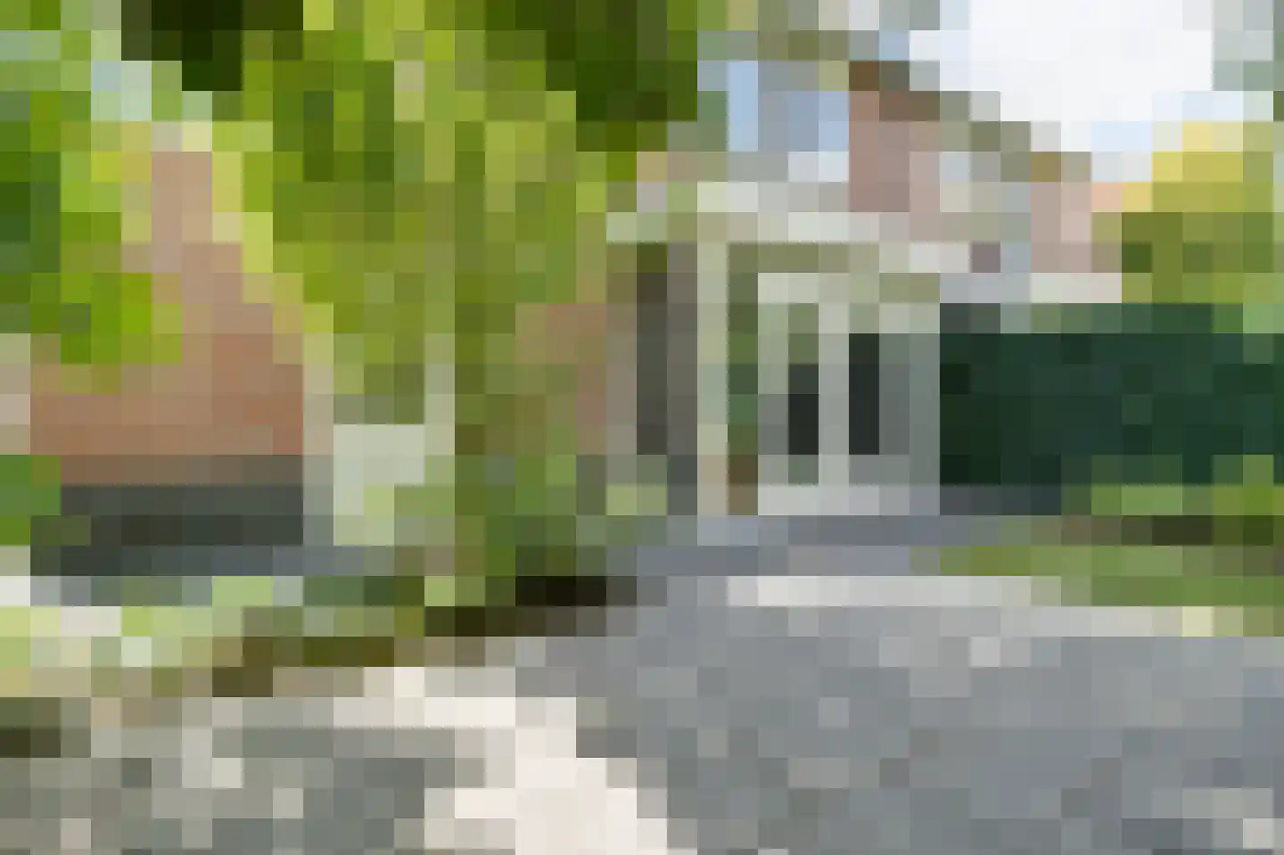 Pastorietuin 10 Ooltgensplaat thumbnail 29