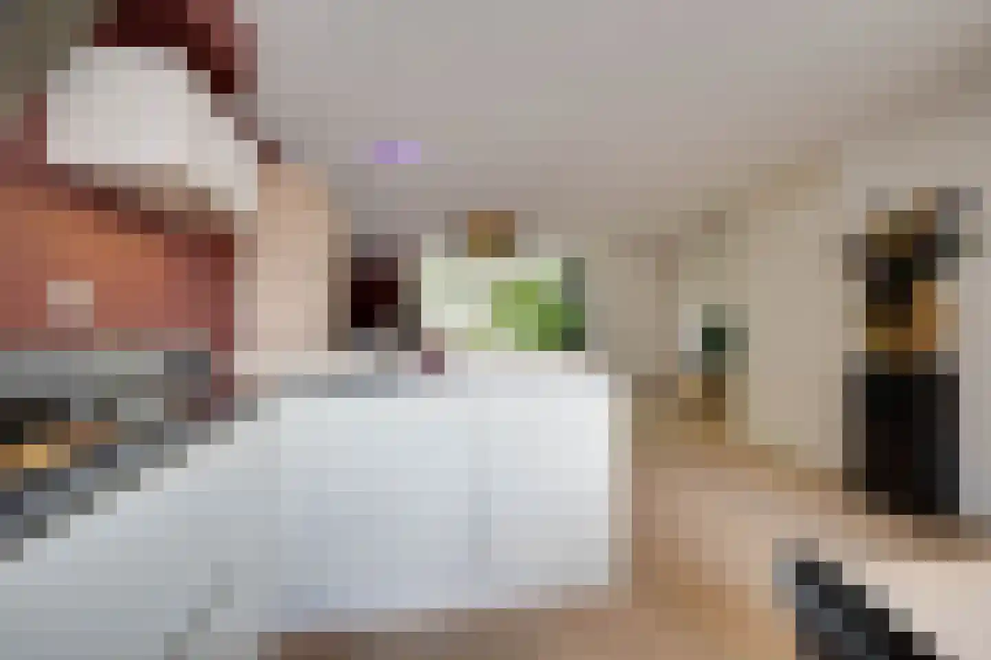 Pastorietuin 10 Ooltgensplaat thumbnail 6
