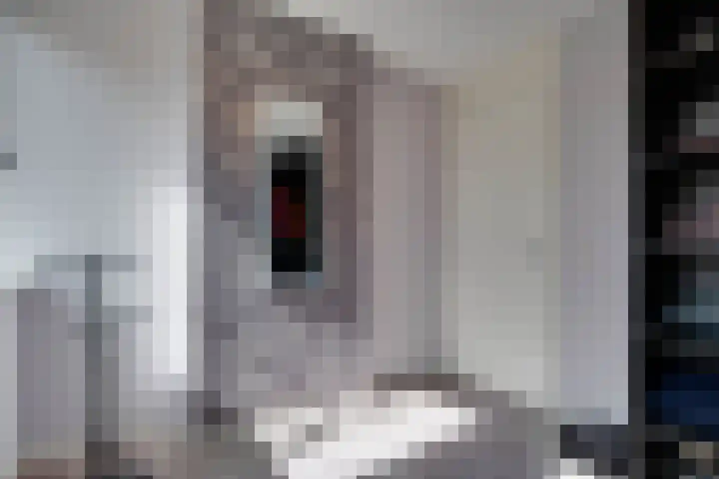 Pastorietuin 12 Ooltgensplaat thumbnail 17