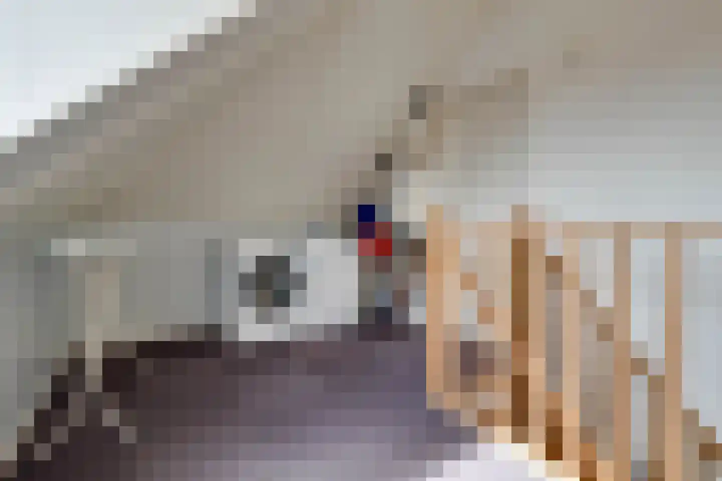 Pastorietuin 12 Ooltgensplaat thumbnail 25