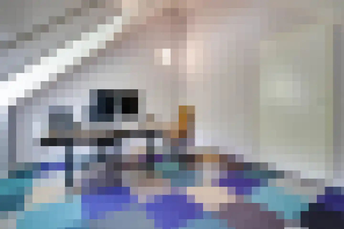 Pastorietuin 12 Ooltgensplaat thumbnail 27