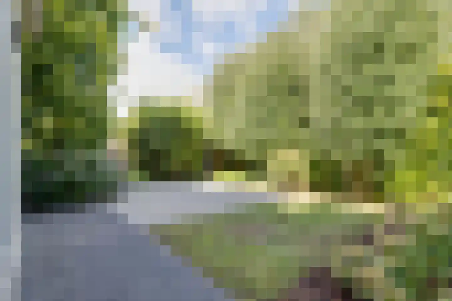 Pastorietuin 12 Ooltgensplaat thumbnail 30