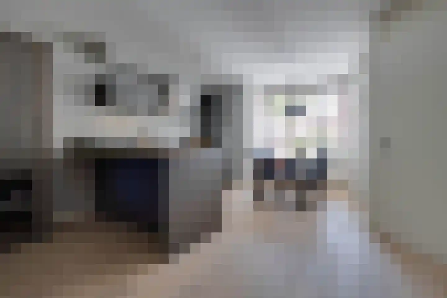 Pastorietuin 12 Ooltgensplaat thumbnail 4