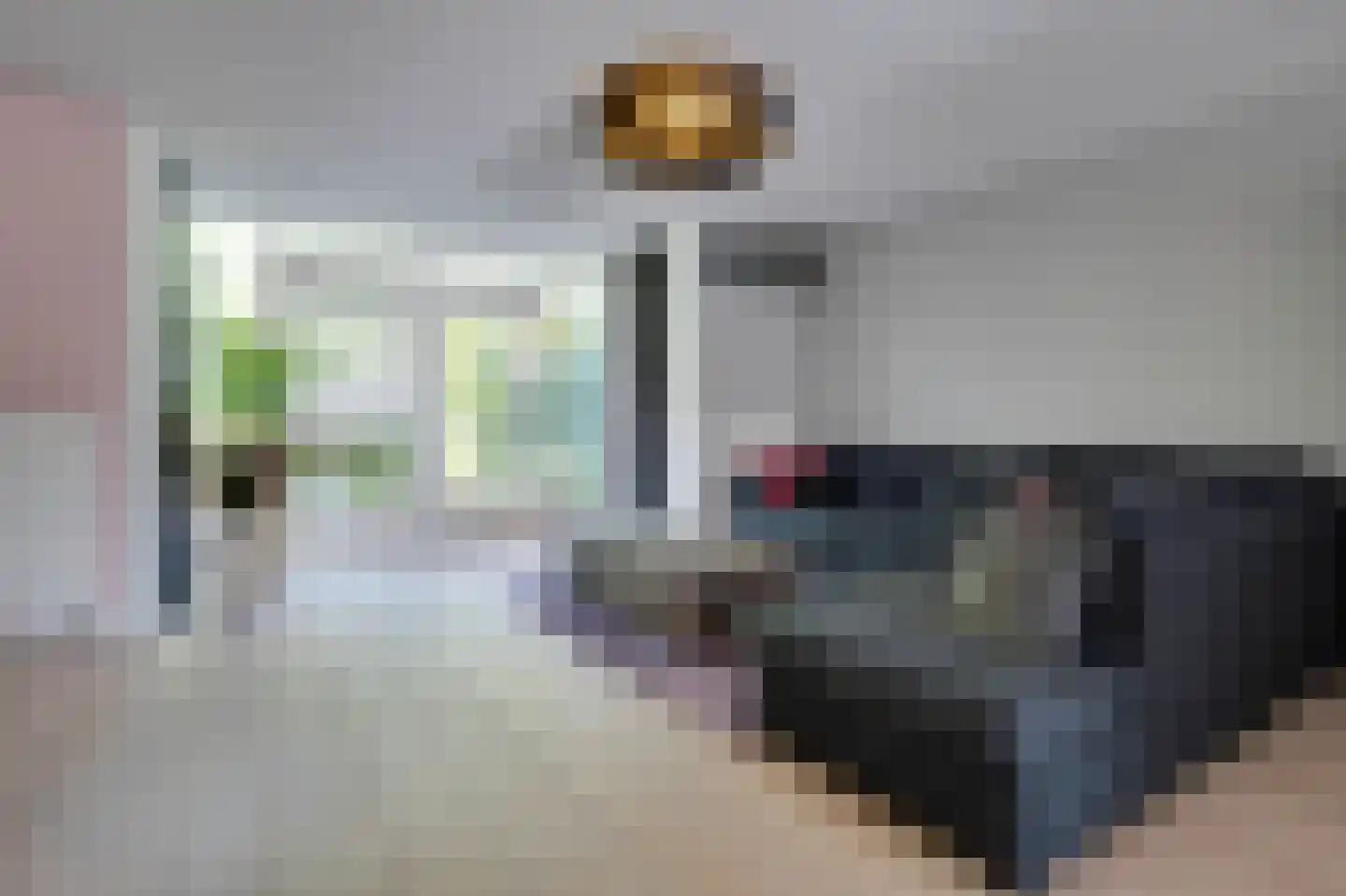 Pastorietuin 12 Ooltgensplaat thumbnail 8