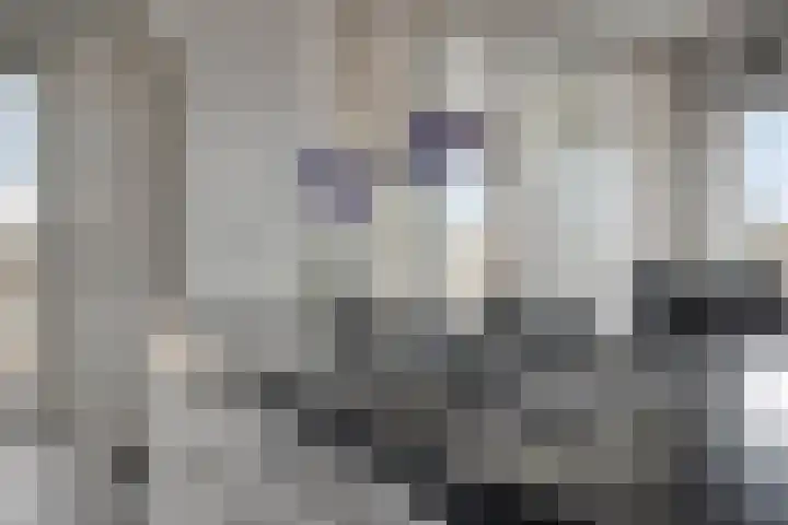 Pastorietuin 37 Veldhoven thumbnail 20