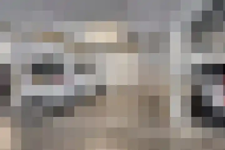 Pastorietuin 37 Veldhoven thumbnail 39