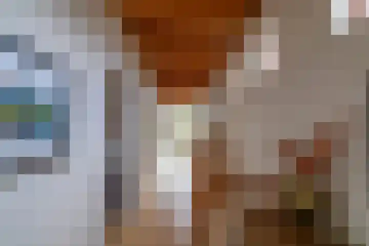 Pastorietuin 43 Harkstede thumbnail 19