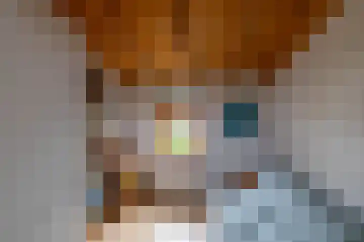 Pastorietuin 43 Harkstede thumbnail 24