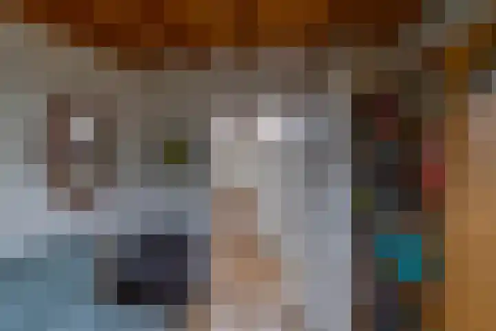Pastorietuin 43 Harkstede thumbnail 25