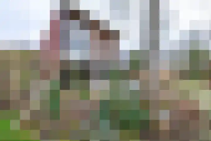 Pastorietuin 43 Harkstede thumbnail 30