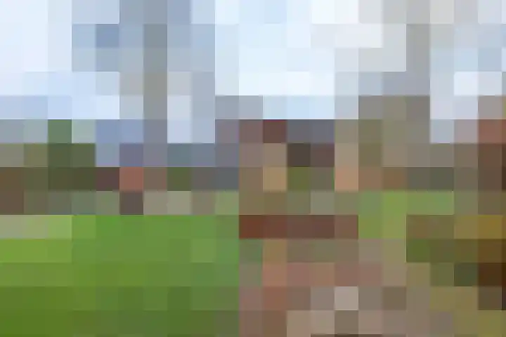 Pastorietuin 43 Harkstede thumbnail 32