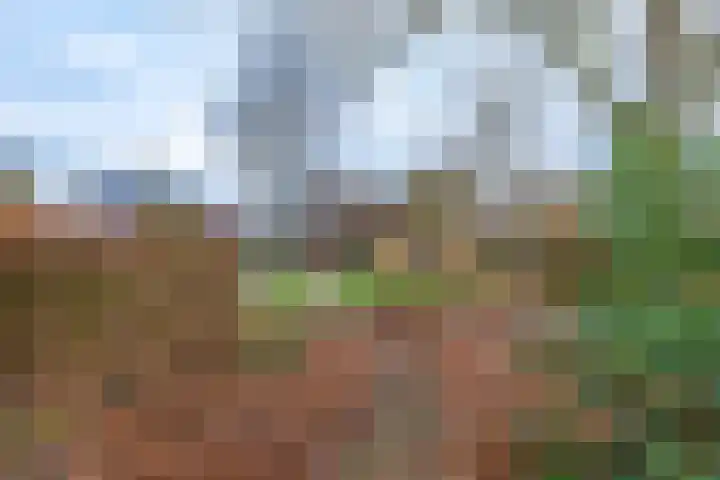 Pastorietuin 43 Harkstede thumbnail 33