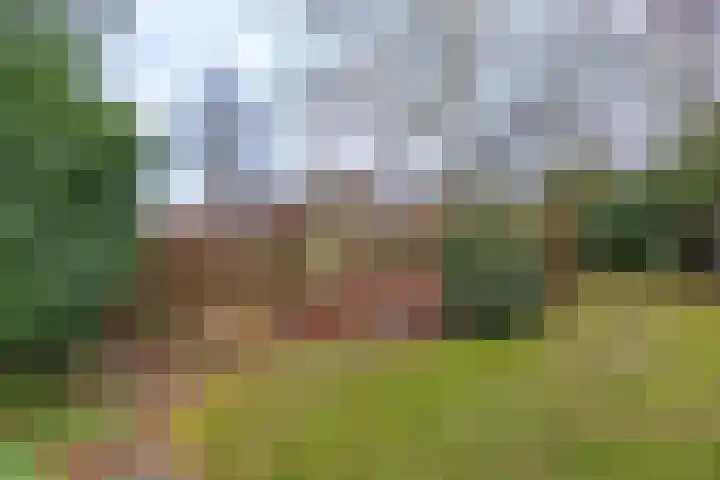 Pastorietuin 43 Harkstede thumbnail 34