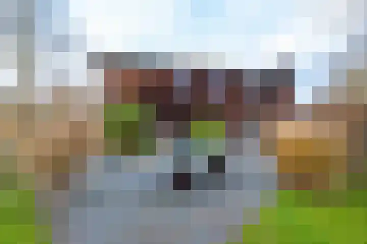 Pastorietuin 43 Harkstede thumbnail 35