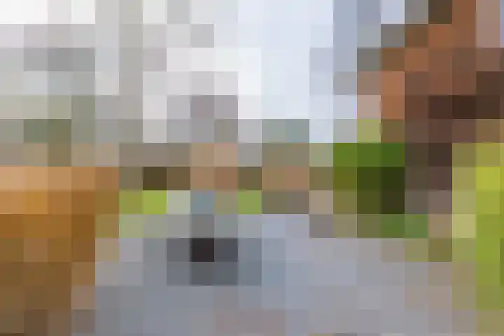 Pastorietuin 43 Harkstede thumbnail 36