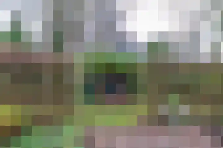 Pastorietuin 43 Harkstede thumbnail 37