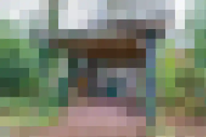 Pastorietuin 43 Harkstede thumbnail 39