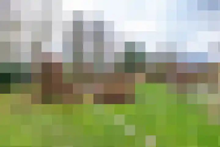 Pastorietuin 43 Harkstede thumbnail 4
