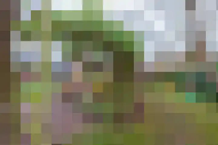 Pastorietuin 43 Harkstede thumbnail 41