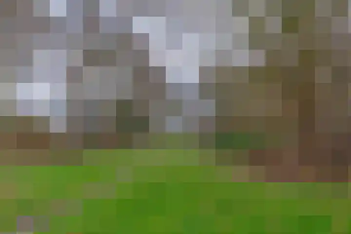 Pastorietuin 43 Harkstede thumbnail 44