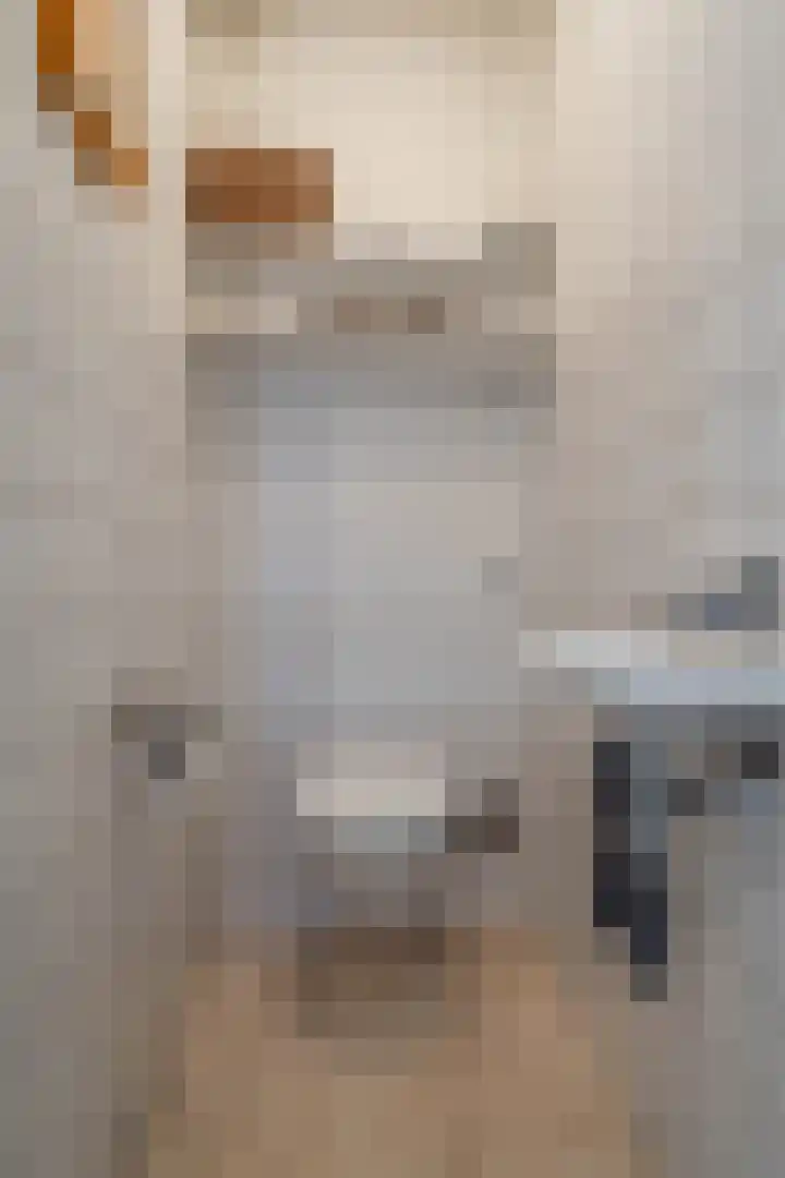Pastorietuin 43 Harkstede thumbnail 8