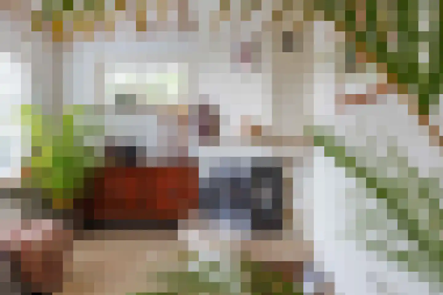 Pastorieweg 10 Kantens thumbnail 16