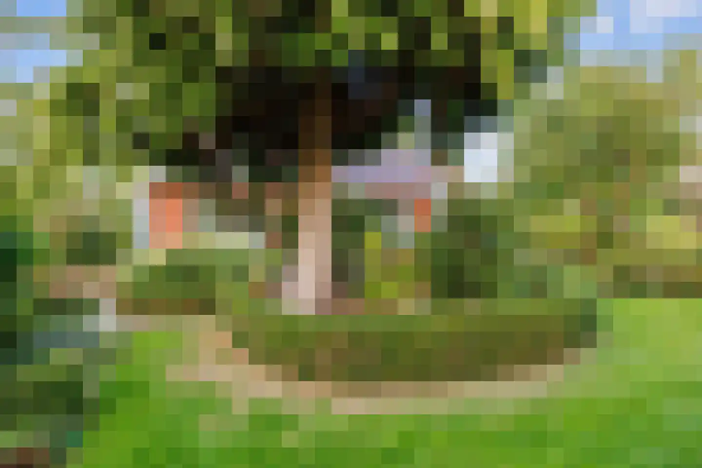 Pastorieweg 10 Kantens thumbnail 40
