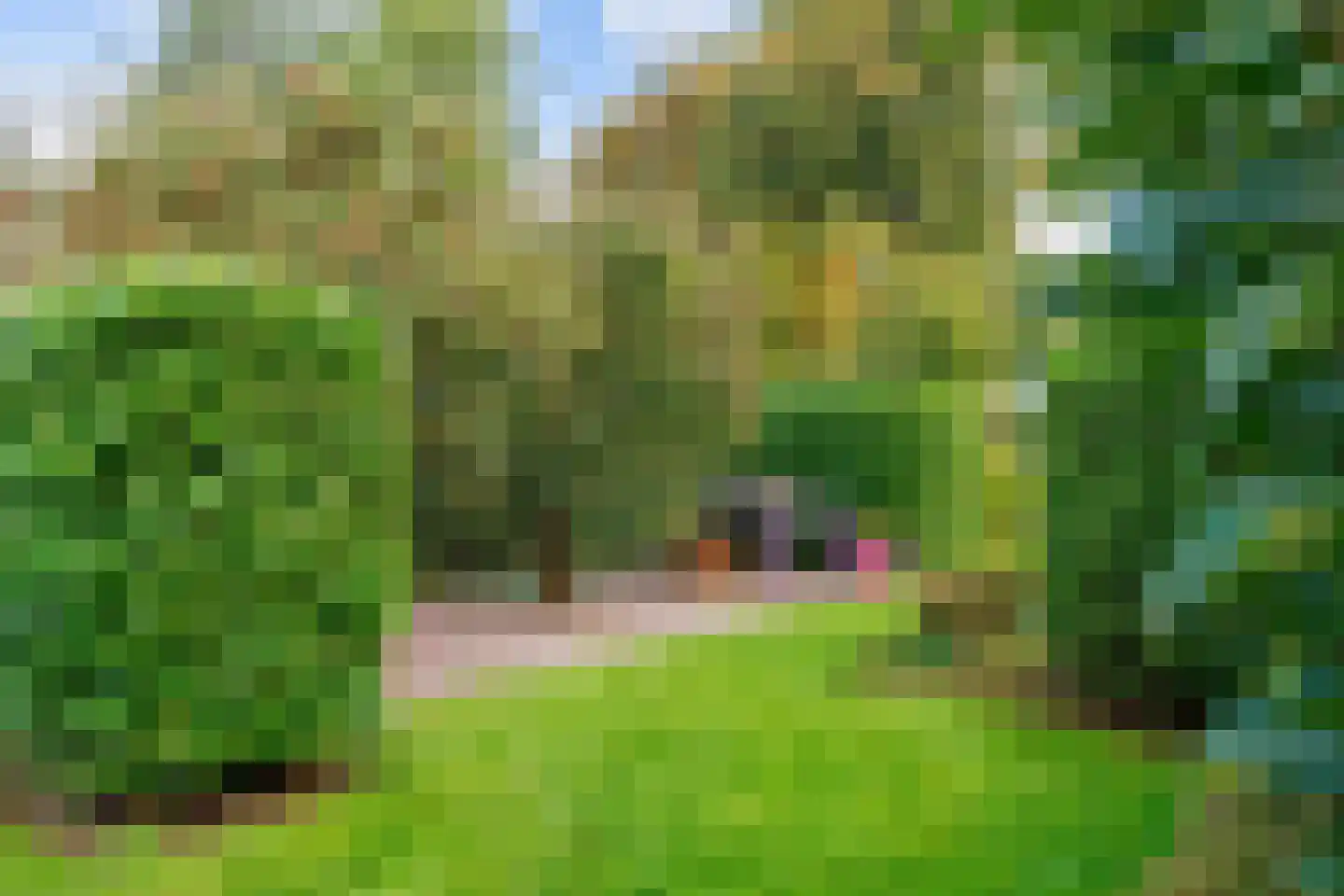 Pastorieweg 10 Kantens thumbnail 53