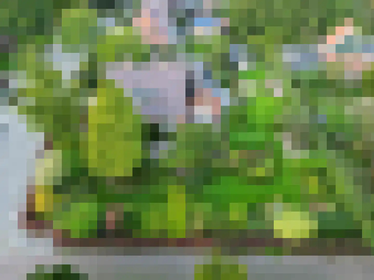 Pastorieweg 10 Kantens thumbnail 7
