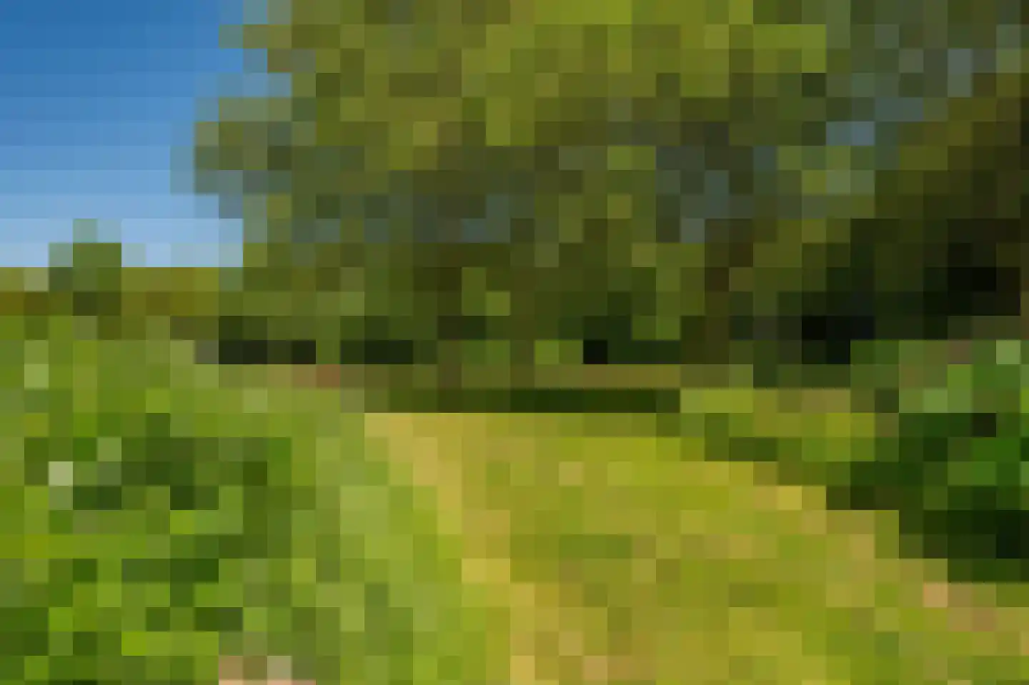 Pastorieweg 10 Nieuw Scheemda thumbnail 17