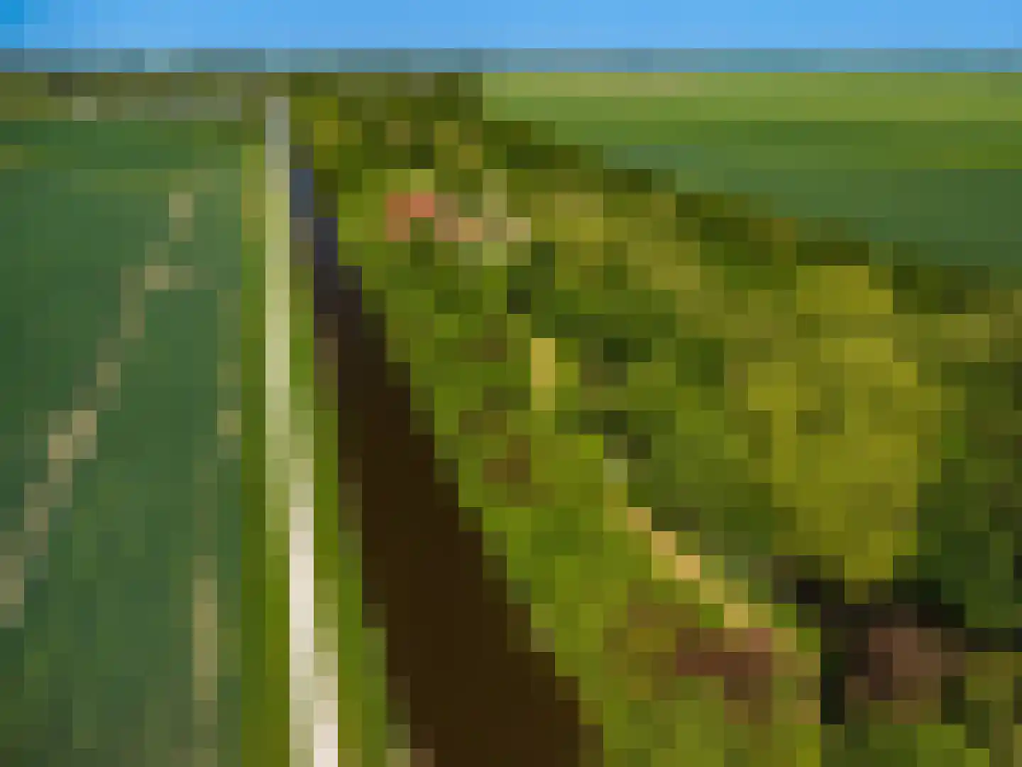 Pastorieweg 10 Nieuw Scheemda thumbnail 4