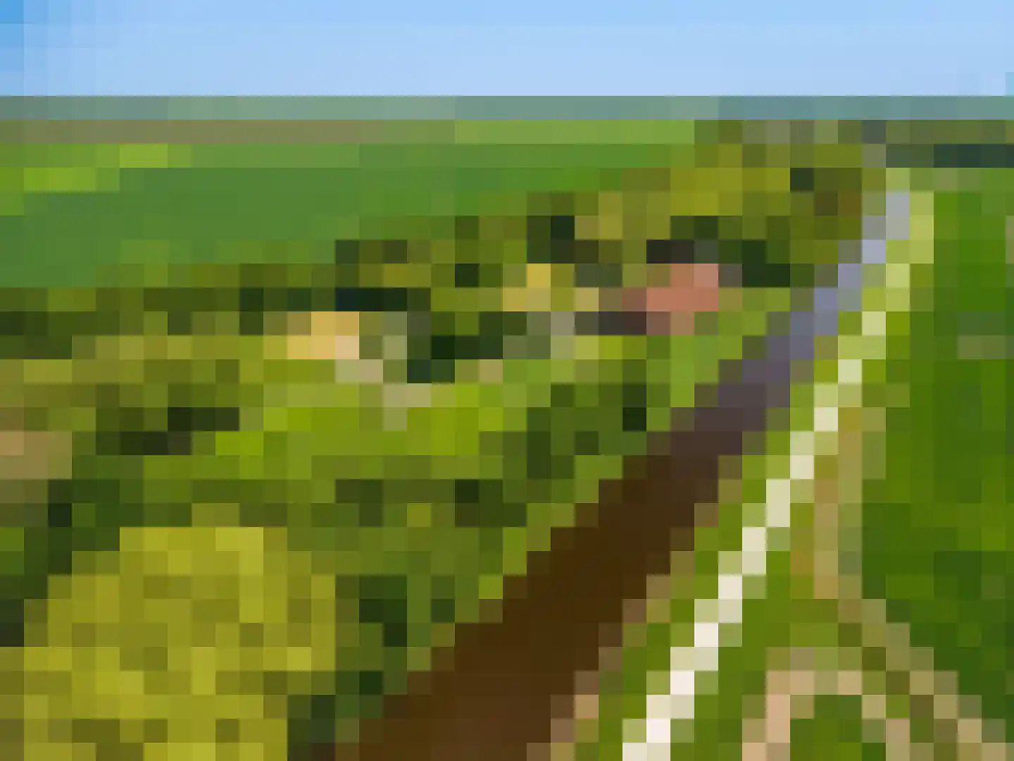 Pastorieweg 10 Nieuw Scheemda thumbnail 5