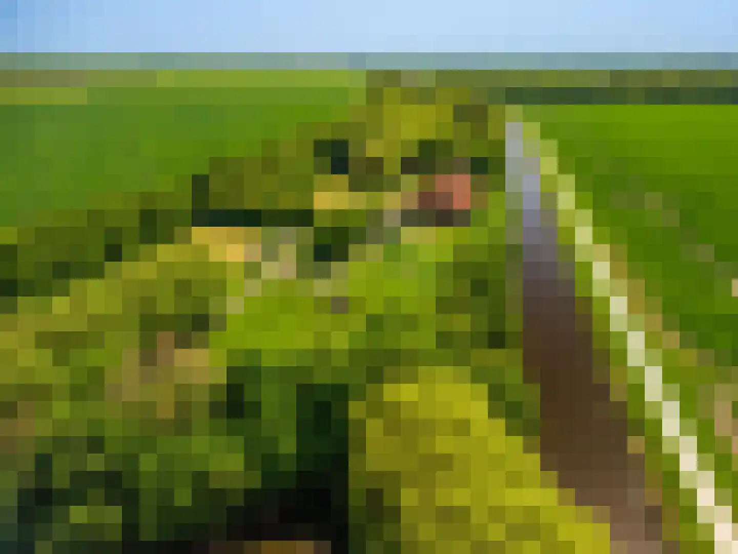 Pastorieweg 10 Nieuw Scheemda thumbnail 6